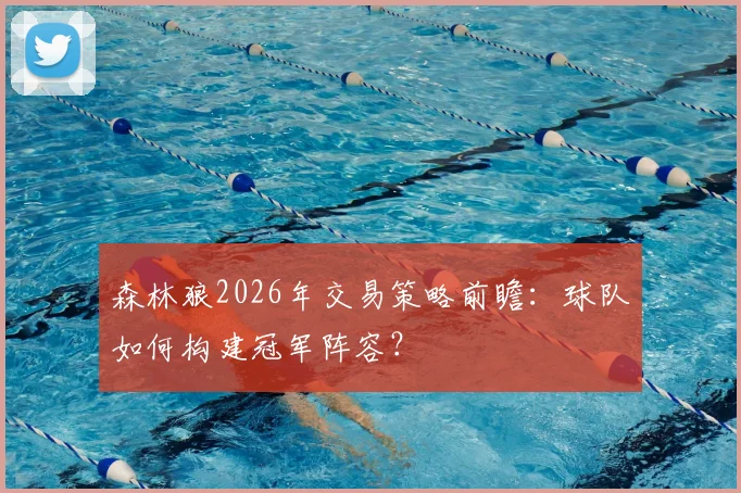森林狼2026年交易策略前瞻:球队如何构建冠军阵容?