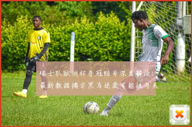 瑞士队欧洲杯夺冠赔率深度解读:最新数据揭示黑马逆袭可能性与关键条件