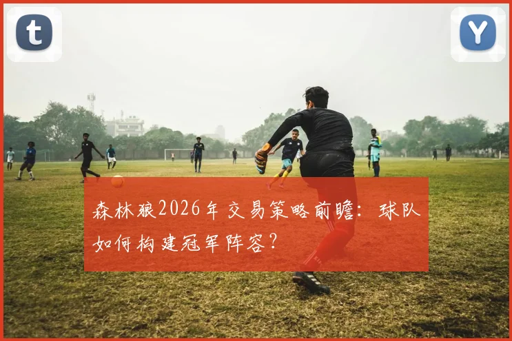 森林狼2026年交易策略前瞻：球队如何构建冠军阵容？